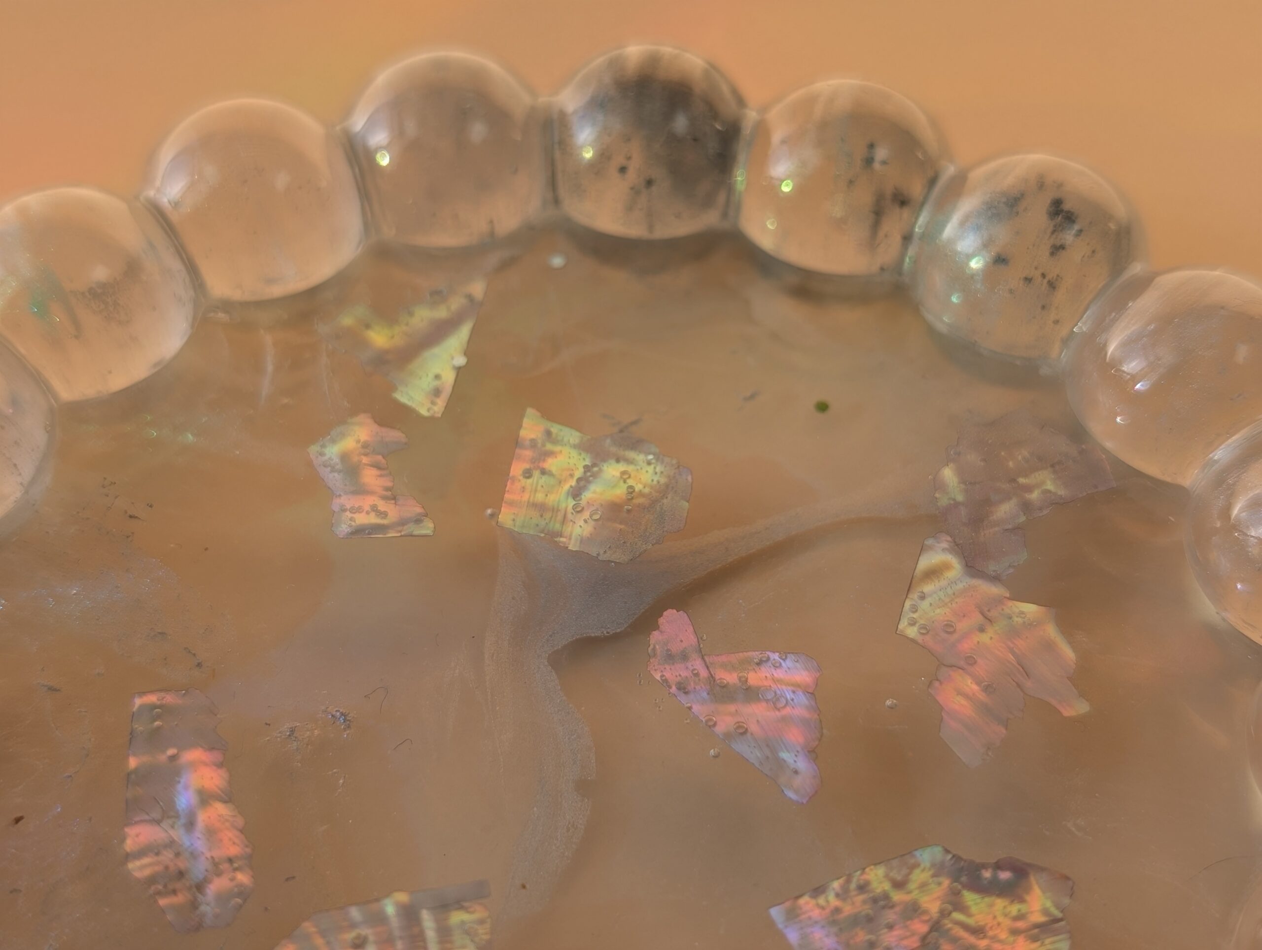 Bubble Tray Moonlight Shell - Image 2
