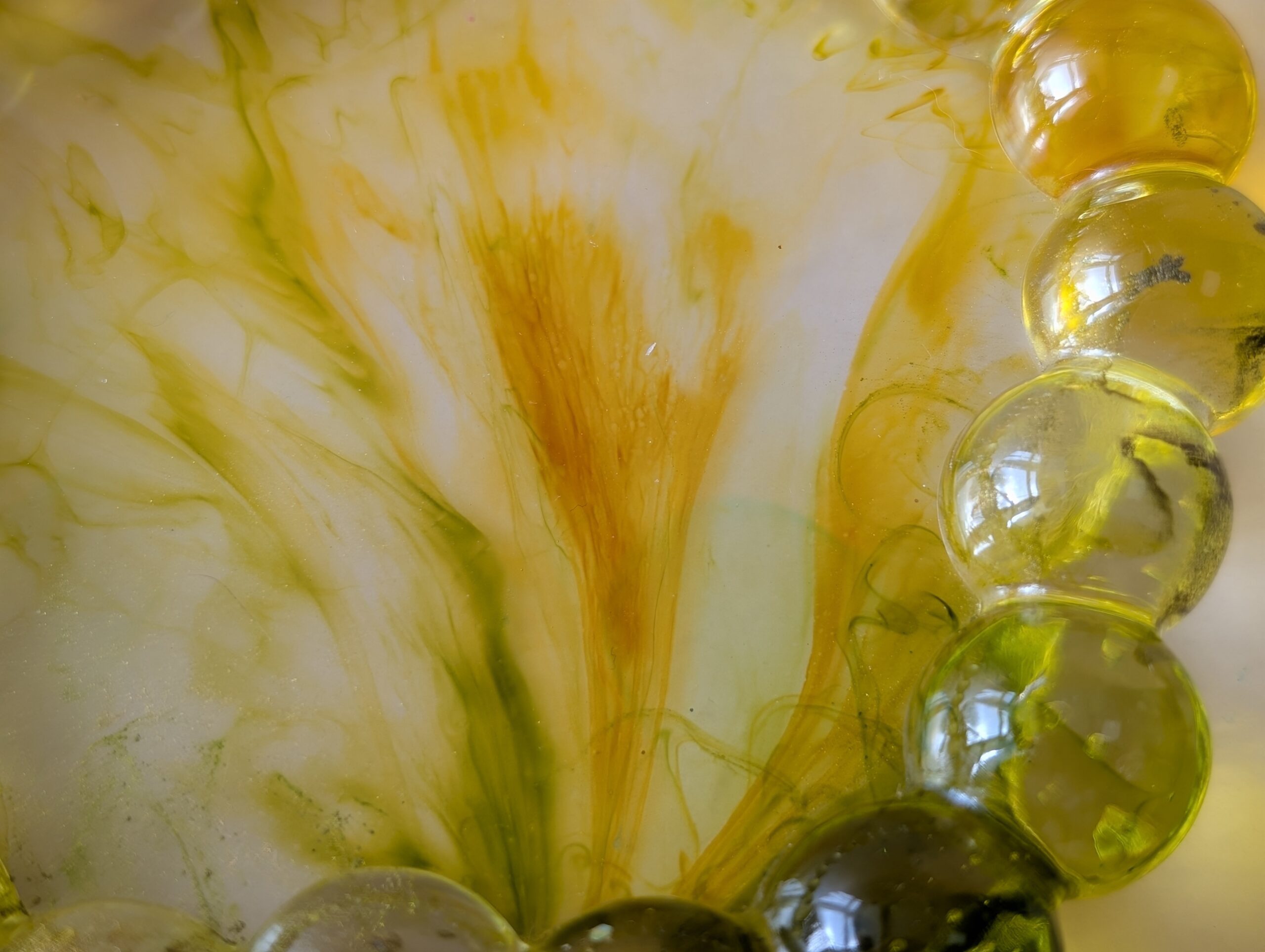 Bubble Tray - Golden Crocus - Image 6